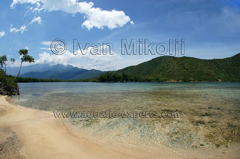 nice beaches in venezuela